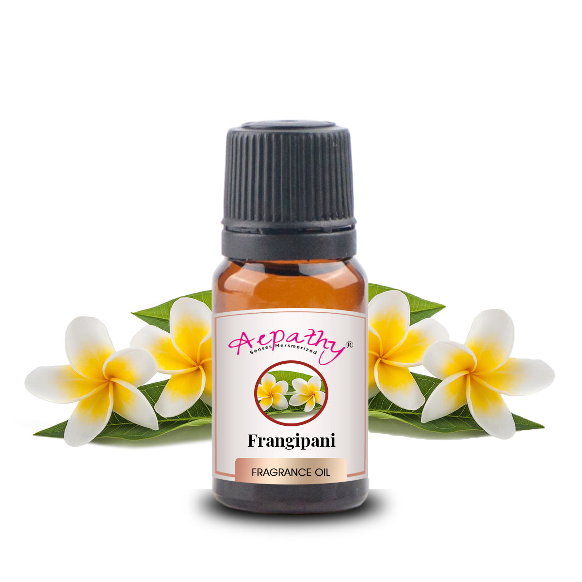 Frangipani Fragrance Oil