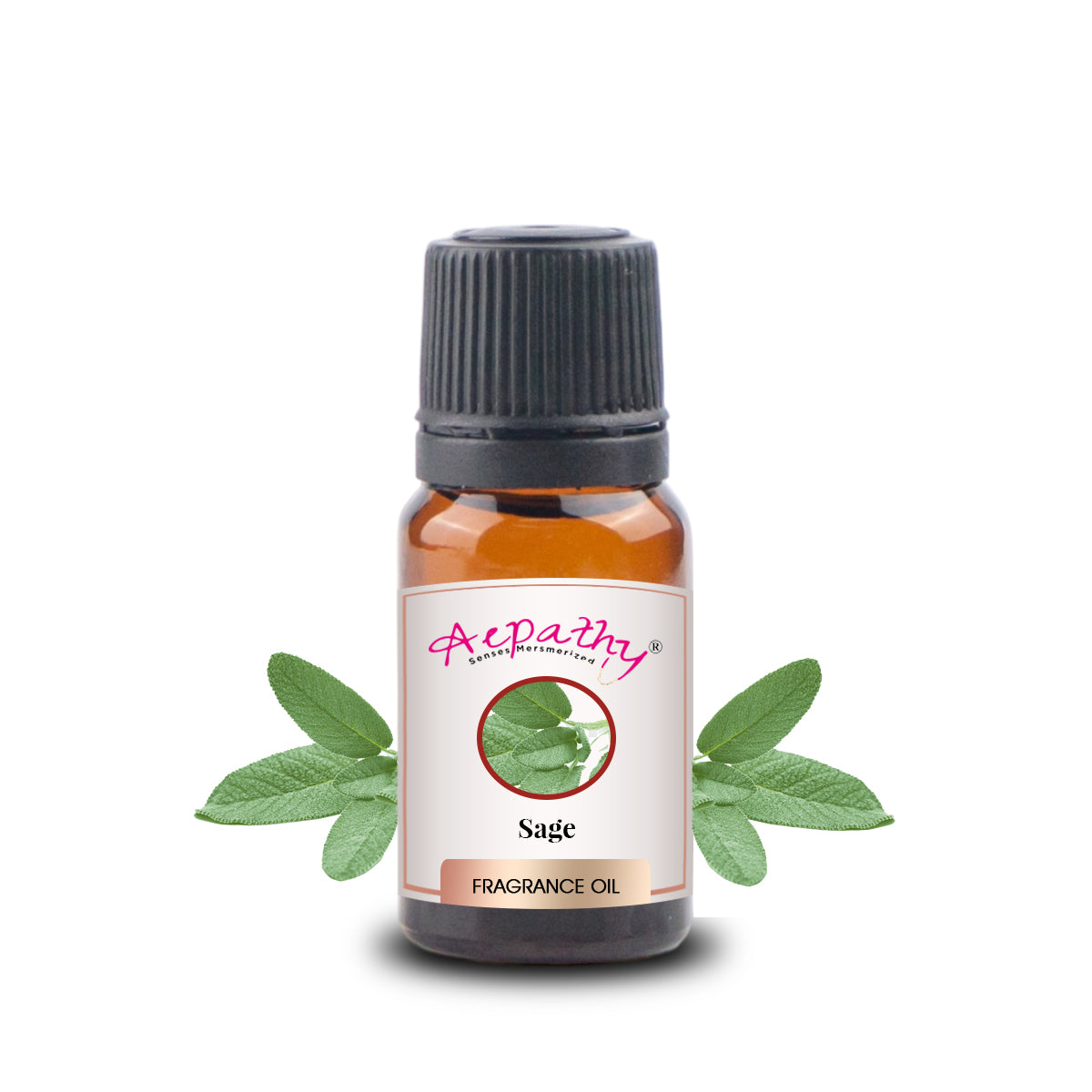 Sage Fragrance Oil